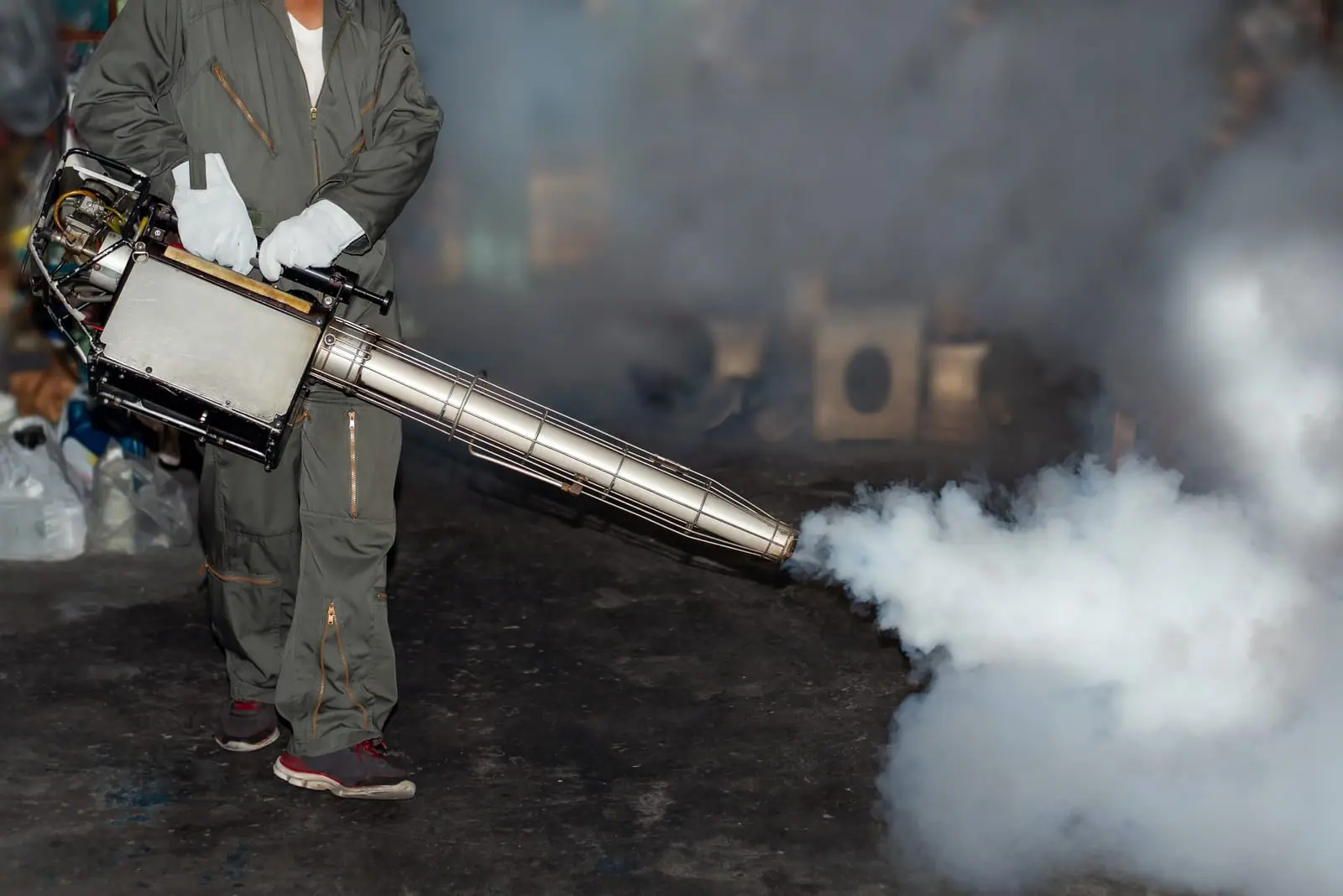 Why Eco-Friendly Pest Control Is the Future