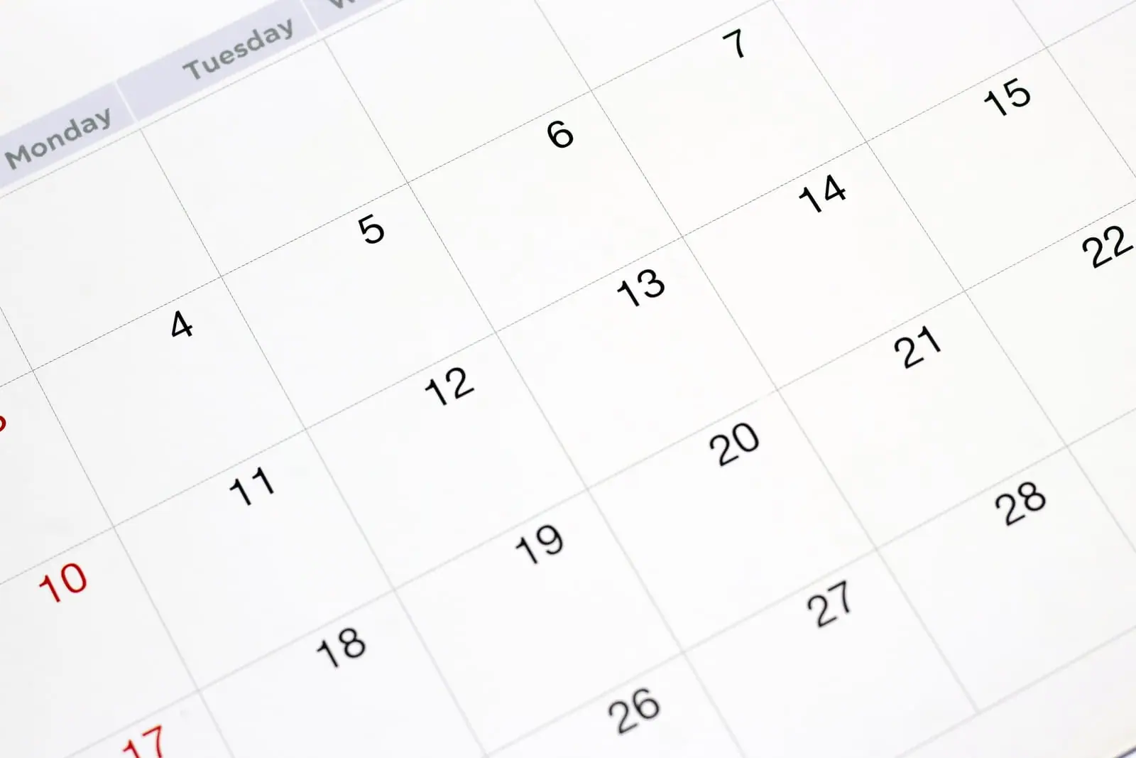 Seasonal Pest Calendar: What to Watch For Year-Round